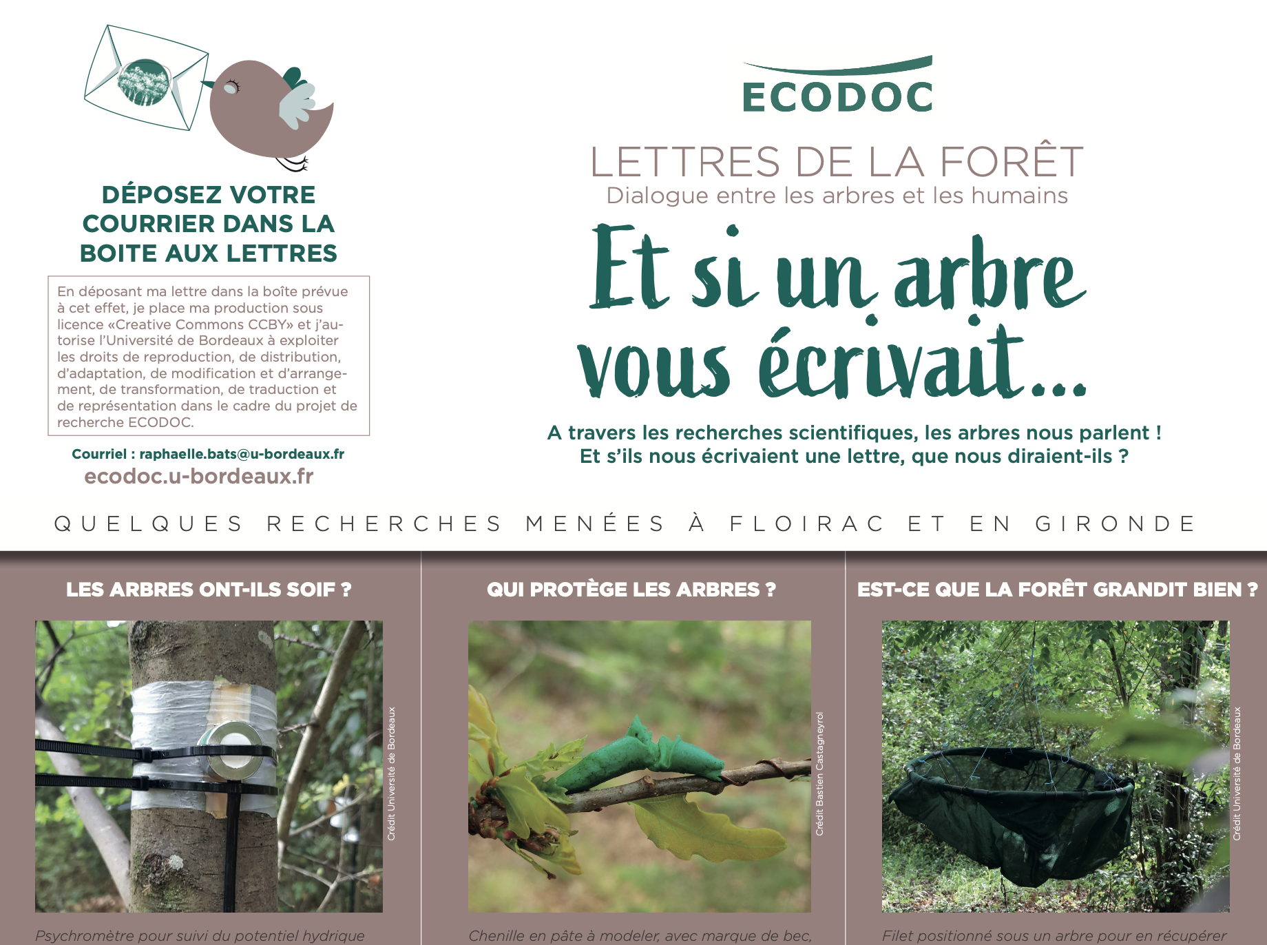 Lettres de la forêt - Dialogue entre les arbres et les humains